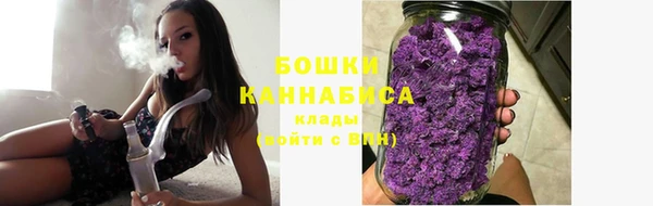 PSILOCYBIN Армянск