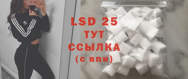 PSILOCYBIN Армянск