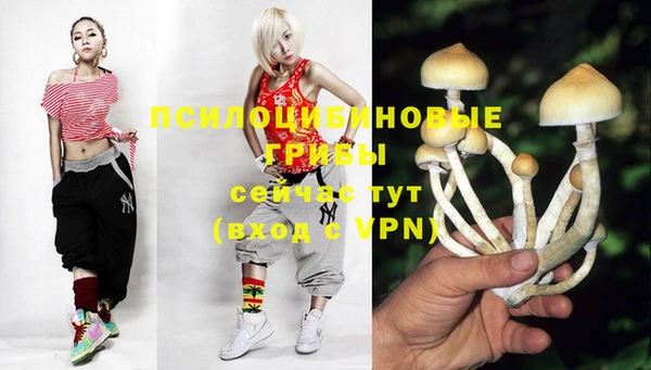 PSILOCYBIN Армянск